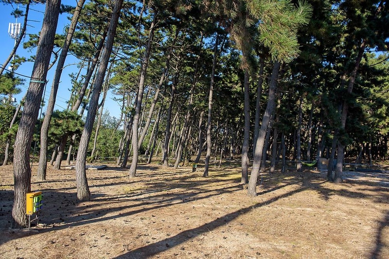 별헤는 밤 시설 사진 7