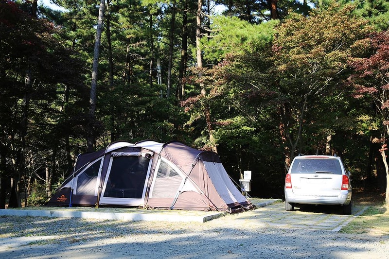 희리산해송자연휴양림 자동차야영장 시설 사진 11