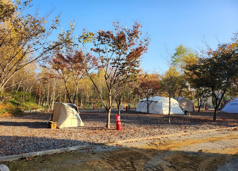 나무와 쉬리 시설 사진 16