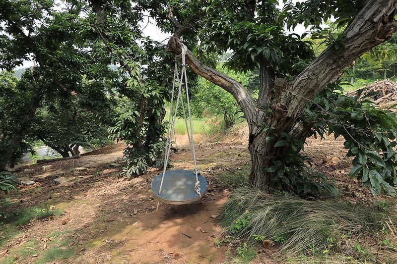 고래숲관광농원 시설 사진 2