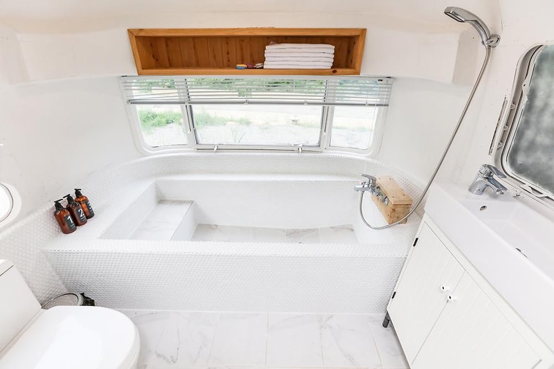 선인장 시설 사진 2