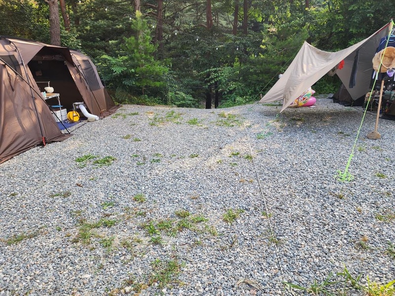 레드우드캠핑장 시설 사진 11