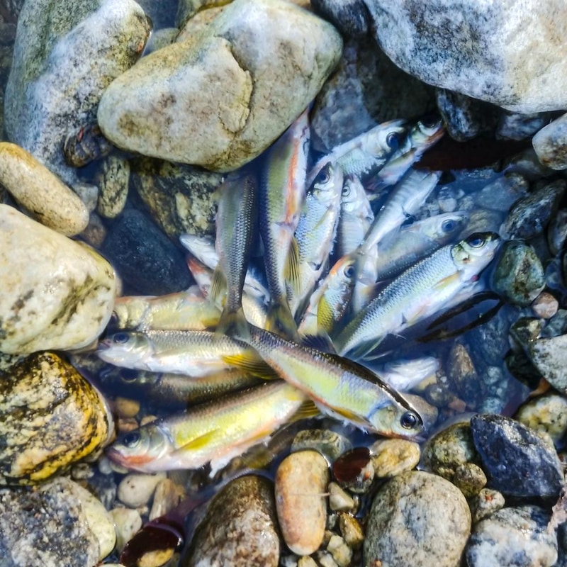 구름계곡캠핑장 시설 사진 13