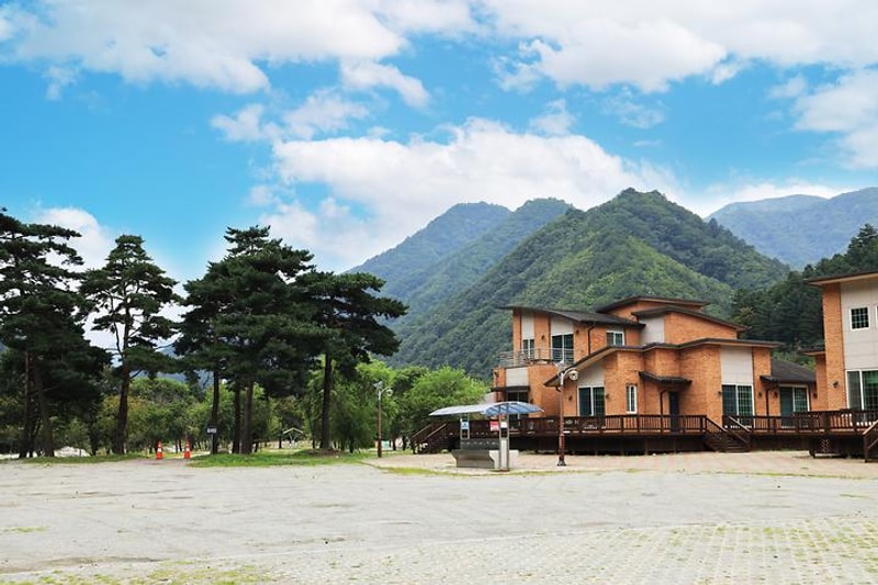 해담마을 야영장 대표 사진