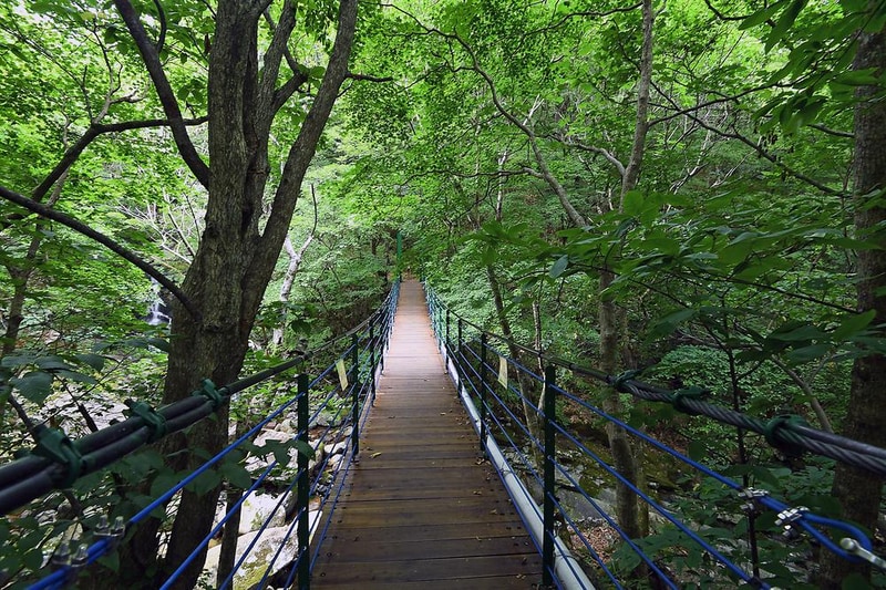 국립지리산 자연휴양림 시설 사진 7