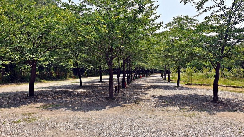 싱글벙글캠핑장 시설 사진 6