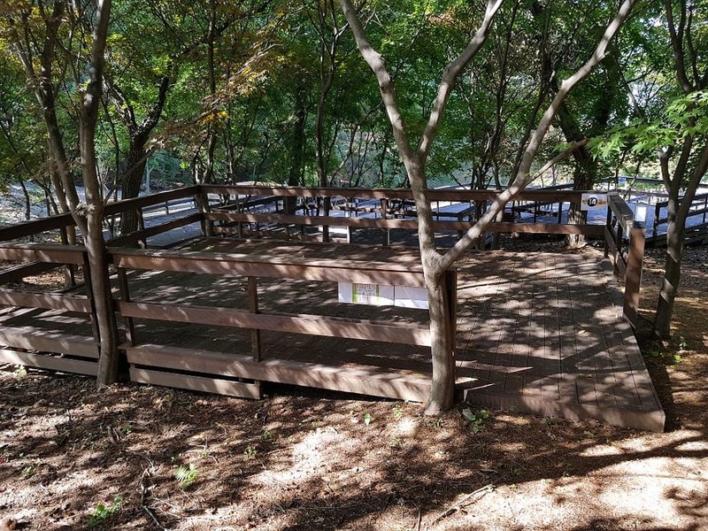 아프리카예술박물관 캠핑장 시설 사진 64