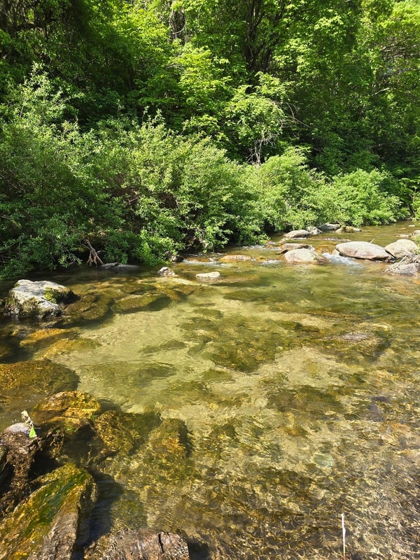 평창 별내림계곡캠핑장 시설 사진 12