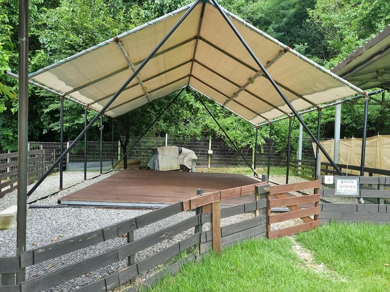 루파니애견캠핑장 시설 사진 17