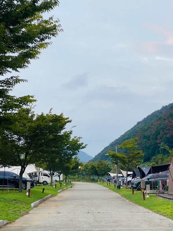 부산 경남 근교 가볼만한 곳 김해 생림 오토캠핑장