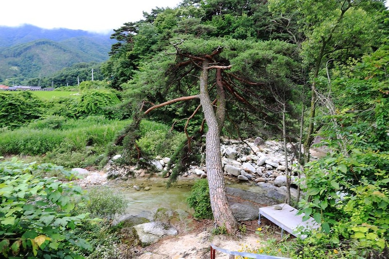 늘예솔글램핑 시설 사진 10