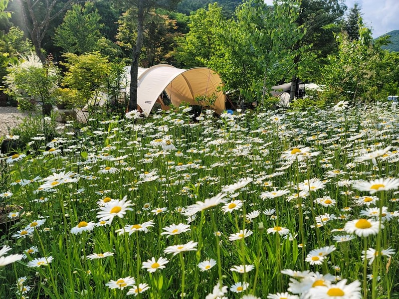 평창 자연속쉼표캠핑장 시설 사진 13