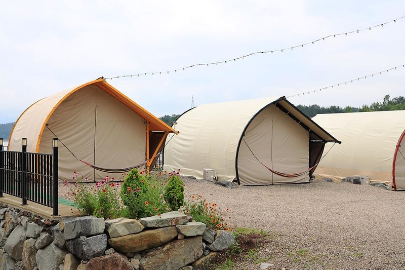 비토애 시설 사진 7