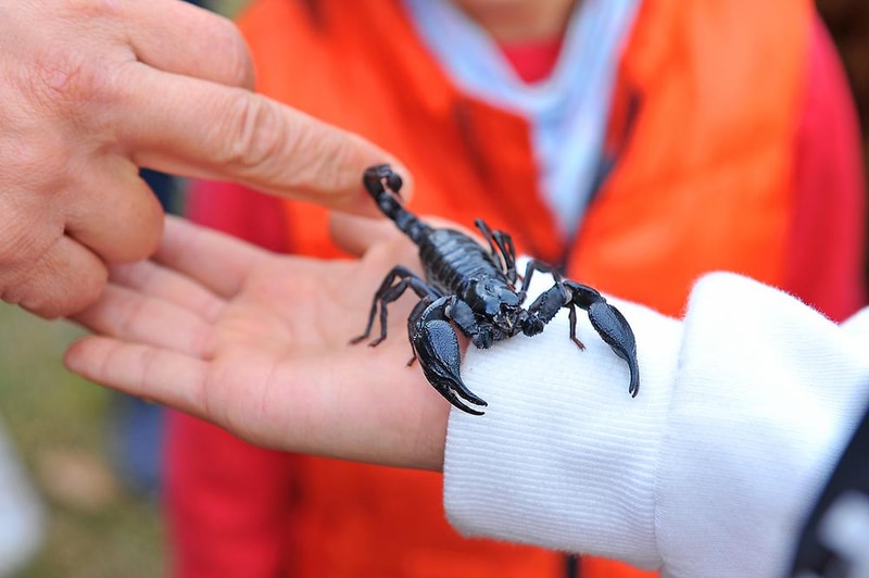 흙내음 글램핑 시설 사진 2