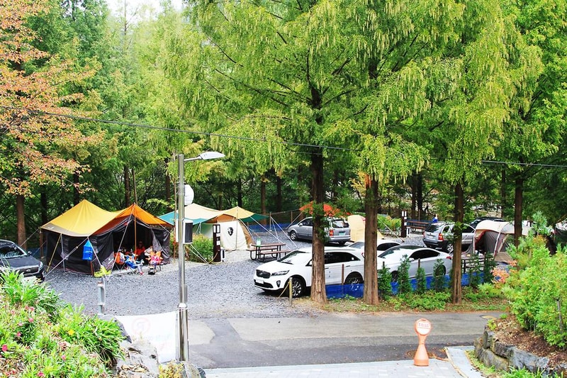 장태산 자연휴양림 시설 사진 5