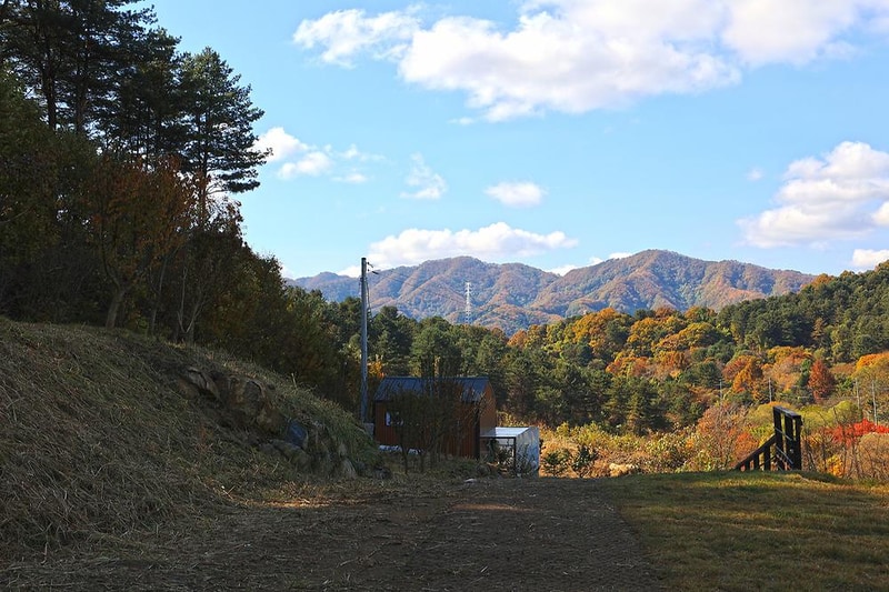 다올숲 시설 사진 14