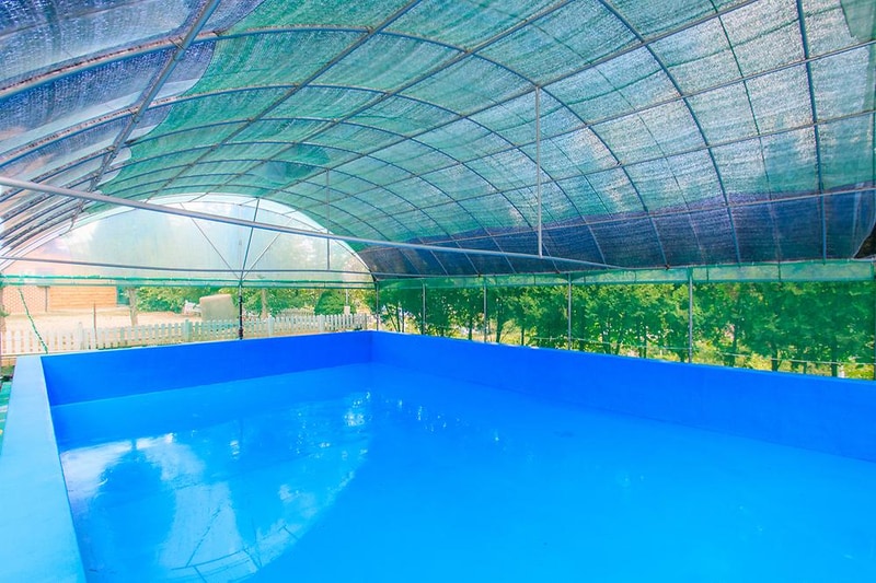 천안밤나무골 가족캠핑농원 시설 사진 3