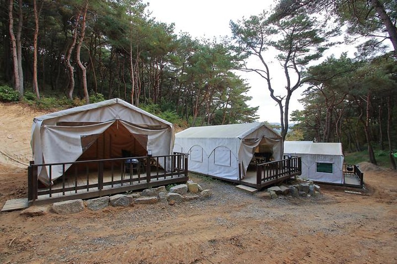 오아시스글램핑 대표 사진