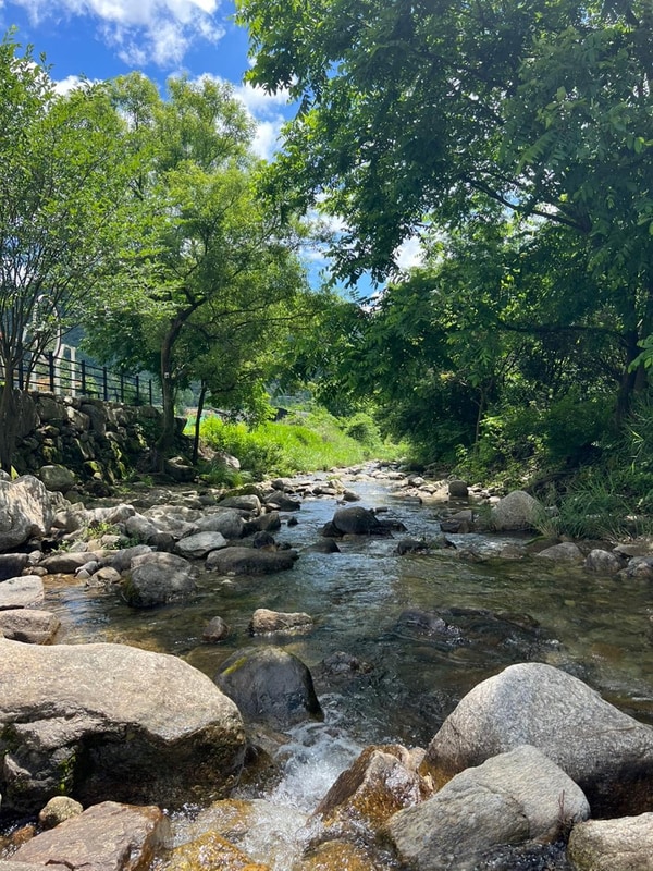 포레스트리 캠핑장 시설 사진 15