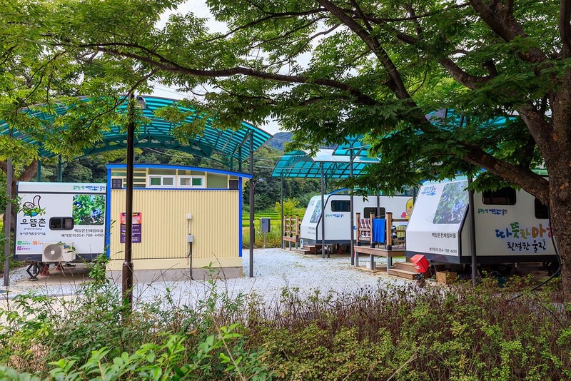 백암온천마을 영농조합법인 야영장 시설 사진 4