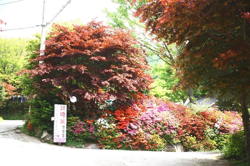 브라보캠핑장 시설 사진 6