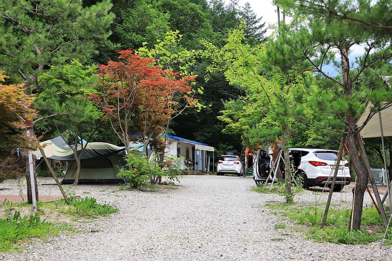 포시즌캠핑장 시설 사진 11