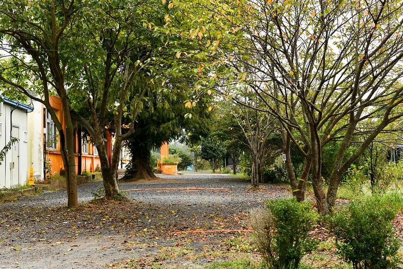 보령 1313캠핑장 시설 사진 10