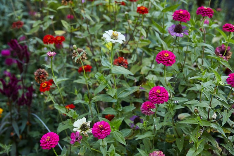 용인 둥지골 캠핑장 시설 사진 9