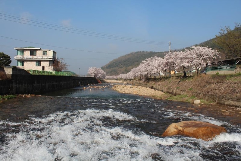 소나무 풍경 펜션 야영장 시설 사진 2