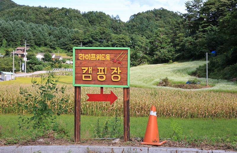 라이프위드도그 시설 사진 15