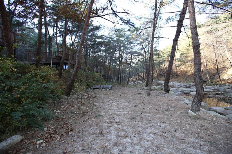 청계동 솔바람야영장 시설 사진 35