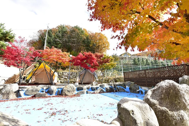 리즈밸리 시설 사진 4