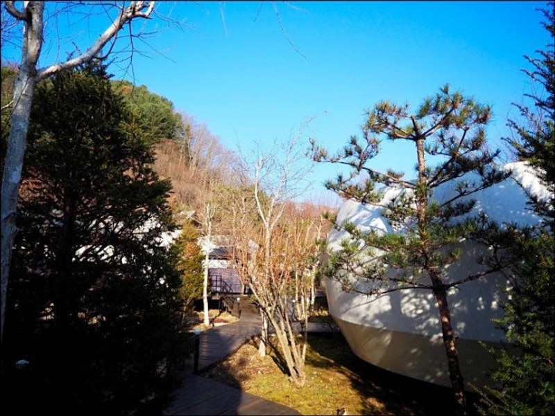 파인포레스트 글램핑 대표 사진