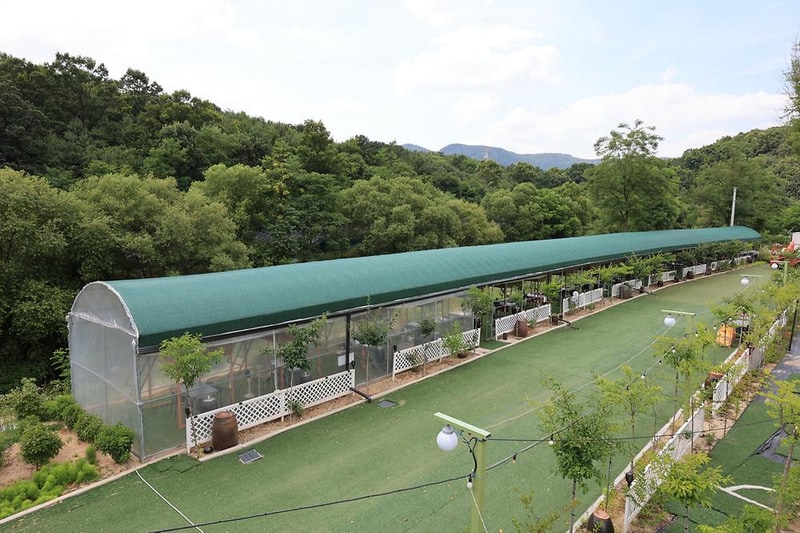 포천롯지카라반캠핑장 시설 사진 7