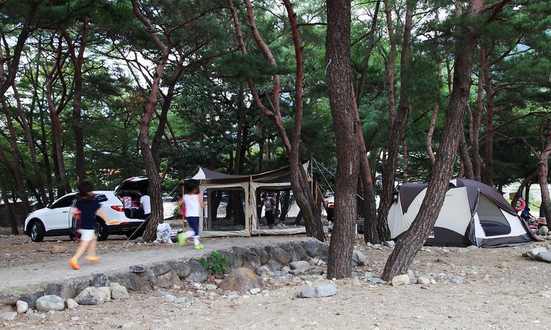 대포숲캠핑장 시설 사진 7