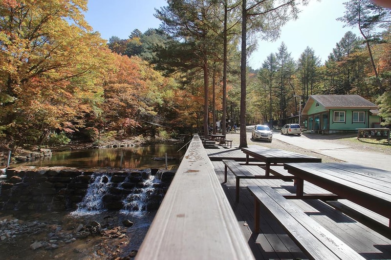 통고산 자연휴양림야영장 시설 사진 6