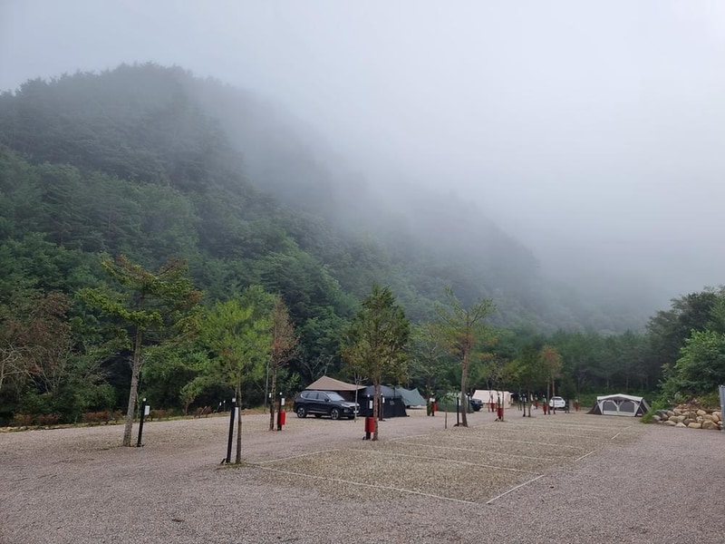 을수골 별빛계곡 시설 사진 11