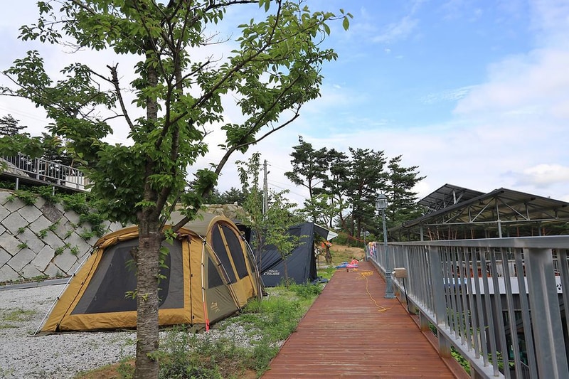 용추솔밭관광농원 시설 사진 16