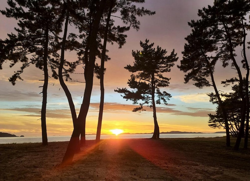 태안노을숲캠핑장 시설 사진 12