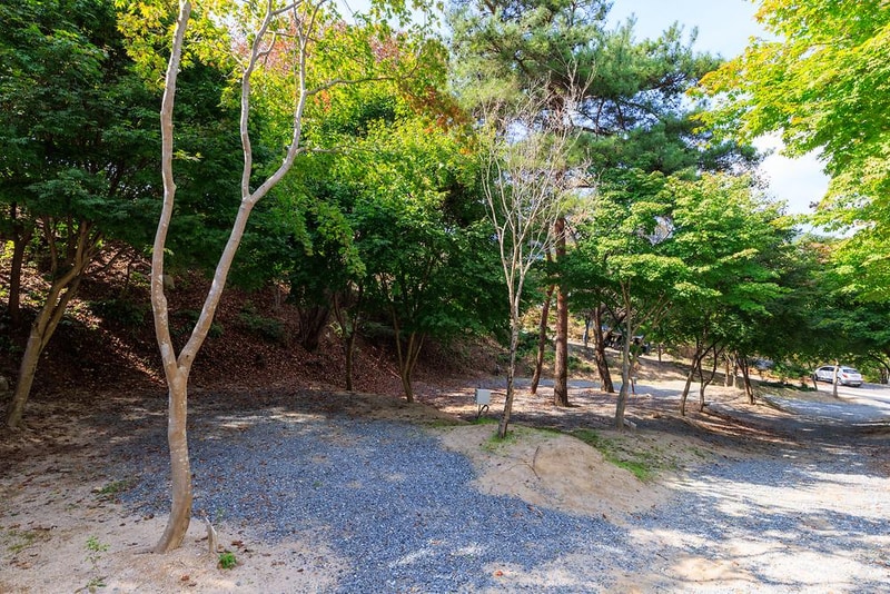 심천치유자연휴양림야영장 시설 사진 14