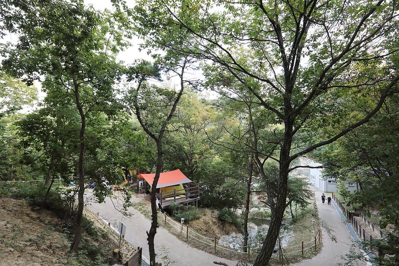 아산 영인산자연휴양림 숲속야영장 시설 사진 17