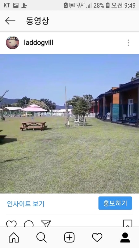 랩도그빌애견캠핑장 시설 사진 11