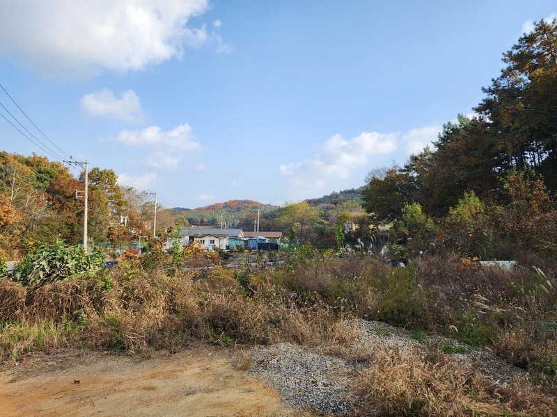 대부도(영흥도)산촌카라반 시설 사진 2