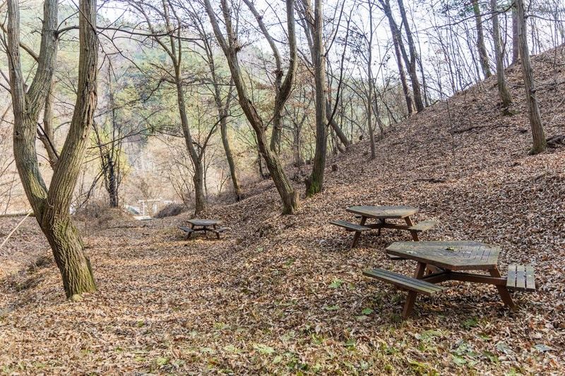 전월산 국민여가캠핑장 시설 사진 63