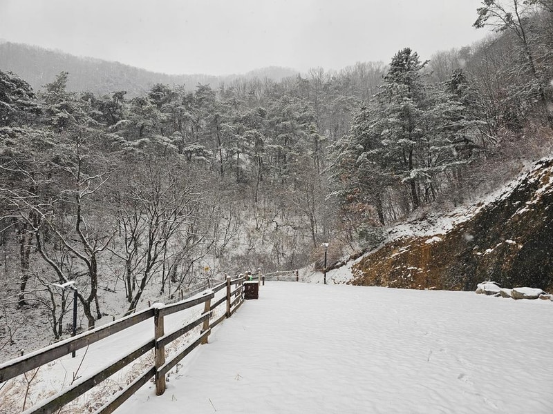 단양 별마루캠핑장 시설 사진 17