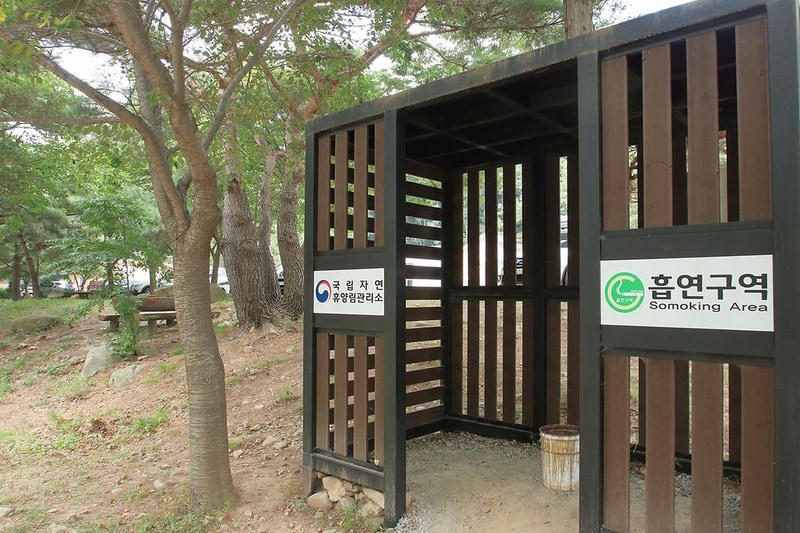 국립용현자연휴양림야영장 시설 사진 17