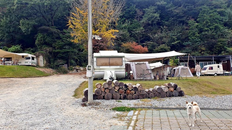 캠프히어 시설 사진 46