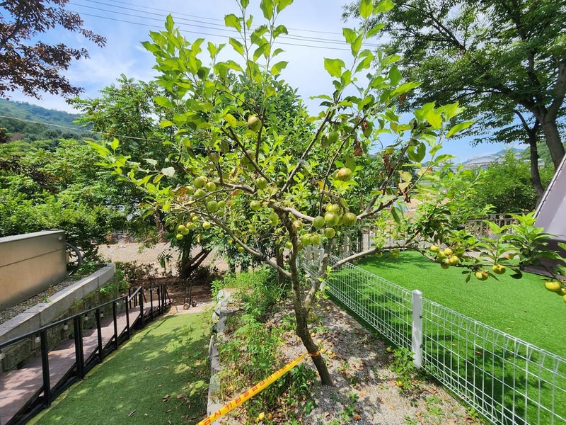 스윗피크닉 시설 사진 9