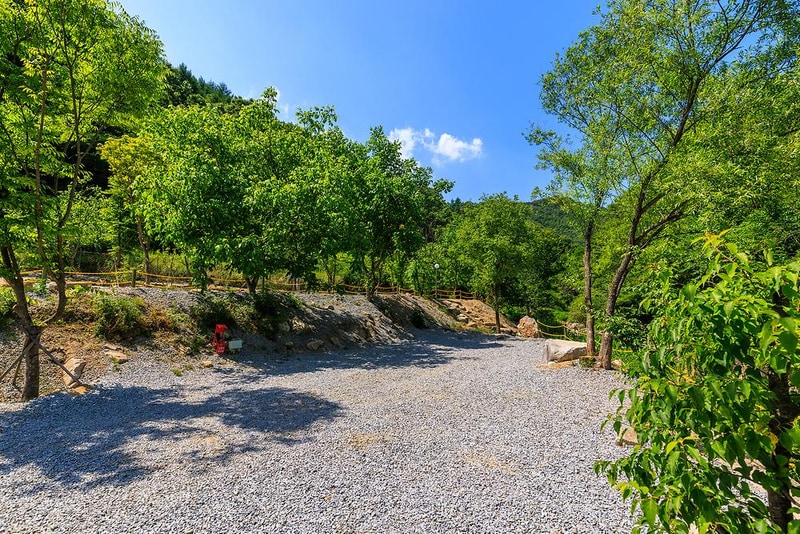 은하수 관광농원 시설 사진 2