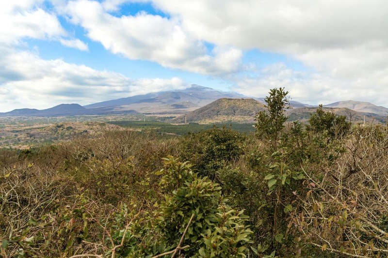 붉은오름 자연휴양림 숲속 야영장 시설 사진 27